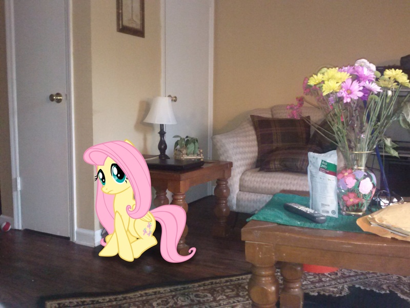 Size: 2592x1944 | Tagged: artist:tokkazutara1164, chair, derpibooru import, door, flower, fluttershy, irl, lamp, photo, pillow, ponies in real life, remote, rug, safe, solo, table, vector