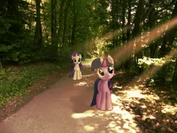 Size: 3264x2448 | Tagged: artist:colorfulbrony, derpibooru import, forest, irl, pathway, photo, ponies in real life, rarity, safe, shadow, sunlight, tree, twilight sparkle, vector