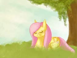 Size: 1500x1140 | Tagged: artist:dilemarex, derpibooru import, fluttershy, safe, solo