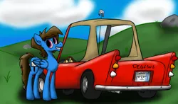 Size: 6800x4000 | Tagged: safe, artist:skydiggitydive, derpibooru import, oc, oc:sky dive, unofficial characters only, pegasus, pony, car, countryside, le lenny face, license plate, male, smiling, solo, stallion
