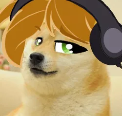 Size: 300x286 | Tagged: 4chan, derpibooru import, doge, edit, headphones, meme, /mlp/, oc, oc:mandopony, photo, safe, solo, unofficial characters only, wat