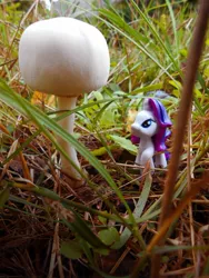 Size: 1102x1469 | Tagged: safe, artist:synch-anon, derpibooru import, rarity, autumn, blind bag, grass, irl, mushroom, photo, toy