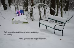 Size: 1600x1046 | Tagged: artist:bryal, artist:dentist73548, bench, derpibooru import, edit, irl, photo, ponies in real life, safe, snow, solo, text, twilight sparkle, winter