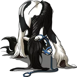 Size: 600x599 | Tagged: artist:lostdragon01, bowing, bridle, derpibooru import, feral, gypsy vanner, hair, leash, long feather, malesub, oc, oc:d, safe, solo, submissive, tinker, unofficial characters only