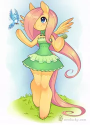 Size: 500x694 | Tagged: artist:neolucky, bird, clothes, derpibooru import, dress, fluttershy, safe, semi-anthro, snail, solo