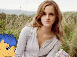 Size: 1600x1200 | Tagged: derpibooru import, edit, emma watson, exploitable meme, flashface, flash sentry, meme, obligatory pony, safe, waifu thief