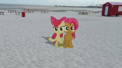 Size: 1024x576 | Tagged: 7-legged race, apple bloom, artist:dreamland200, babs seed, beach, derpibooru import, irl, photo, pier, ponies in real life, rope, safe, tables, vector