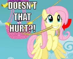 Size: 500x403 | Tagged: safe, derpibooru import, edit, edited screencap, screencap, fluttershy, twilight sparkle, pegasus, pony, animation error, caption, hot air balloon, image macro, ouch, rope, twinkling balloon