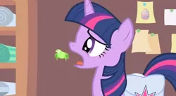 Size: 638x349 | Tagged: safe, artist:danfango, derpibooru import, edit, edited screencap, screencap, twilight sparkle, bird, pony, suited for success, coughing, female, god burns down equestria for insurance money, mare, open mouth, saddle bag, songbird, youtube poop