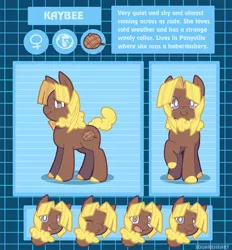 Size: 802x866 | Tagged: safe, artist:square-heart, derpibooru import, oc, oc:kaybee, unofficial characters only, earth pony, pony, female, hat, mare, solo