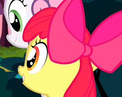 Size: 679x540 | Tagged: adorabloom, animated, apple bloom, cropped, cute, derpibooru import, duo, hearts and hooves day, hearts and hooves day (episode), lip bite, safe, screencap, smiling, sweetie belle