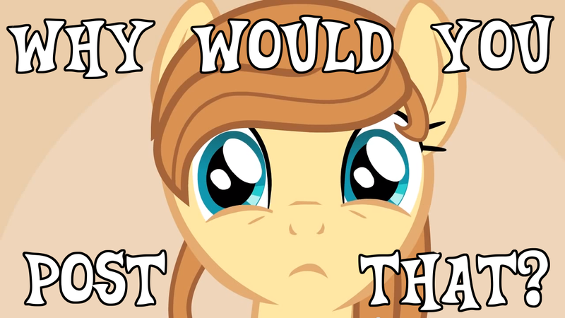 Size: 1280x720 | Tagged: safe, artist:tiarawhy, derpibooru import, oc, oc:cream heart, unofficial characters only, earth pony, pony, female, looking at you, mare, meme, reaction image, solo, text, why would you post that