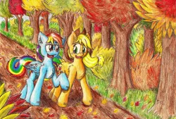 Size: 1500x1013 | Tagged: applejack, artist:punk-pegasus, autumn, derpibooru import, rainbow dash, safe, traditional art