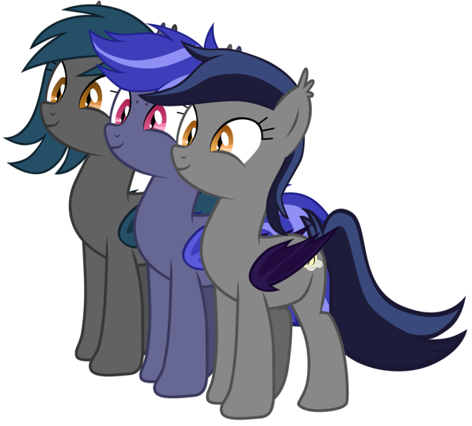 Size: 4947x4467 | Tagged: source needed, safe, artist:zee66, derpibooru import, oc, oc:echo, oc:night watch, oc:speck, unofficial characters only, bat pony, pony, absurd resolution, female, mare, simple background, transparent background, vector