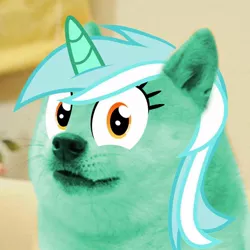 Size: 960x960 | Tagged: artist:rayscratch, derpibooru import, doge, edit, irrational exuberance, lyra heartstrings, meme, photo, pony eyes on stuff, safe, shibe, solo, wat