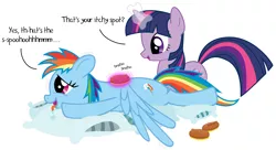 Size: 2116x1151 | Tagged: safe, artist:jp, derpibooru import, rainbow dash, twilight sparkle, brush, brushie, curry comb, drool, female, grooming, horses doing horse things, lesbian, magic, massage, open mouth, pillow, scratching, shipping, shivering, smiling, spread wings, talking, tongue out, twidash