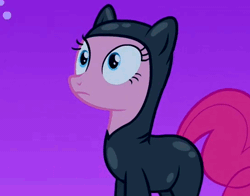 Size: 542x426 | Tagged: animated, animation error, catsuit, cropped, cute, derpibooru import, diapinkes, floppy ears, frown, gritted teeth, it's about time, open mouth, pinkie pie, sad, safe, screencap, solo, wide eyes