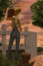 Size: 2600x4000 | Tagged: apple, applejack, artist:morevespenegas, back, basket, behind, derpibooru import, fence, human, humanized, overalls, safe, solo, sunset, working