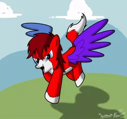Size: 900x847 | Tagged: safe, artist:nexivian, derpibooru import, oc, unofficial characters only, pegasus, pony, fanart, odd coat, solo, spread wings, tricolored pony