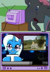 Size: 564x800 | Tagged: derpibooru import, dumbo, exploitable meme, meme, mrs. jumbo, news, obligatory pony, pnn, semi-grimdark, trixie, tv meme