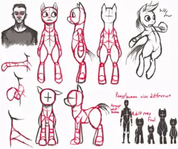 Size: 960x808 | Tagged: dead source, safe, artist:crookedtrees, derpibooru import, human, pony, anatomy, bipedal, chart, how to draw, reference sheet, size chart, sketch dump, structure lines, tutorial