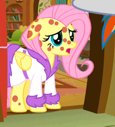 Size: 500x554 | Tagged: animated, animation error, bathrobe, clothes, cropped, cute, derpibooru import, fluttershy, fluttershy's cottage, hurricane fluttershy, offscreen character, pony pox, rainbow dash, robe, safe, screencap, shyabetes, solo focus