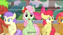 Size: 640x355 | Tagged: alula, apple bloom, apple cinnamon, apple family reunion, babs seed, derpibooru import, florina tart, gotta go fast, meme, minty apple, safe, screencap, youtube caption