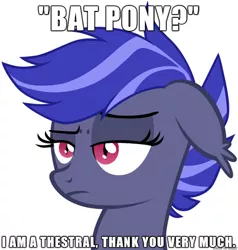 Size: 610x642 | Tagged: safe, artist:zee66, derpibooru import, oc, oc:night watch, unofficial characters only, bat pony, pony, floppy ears, frown, headcanon, image macro, raised eyebrow, solo, unamused