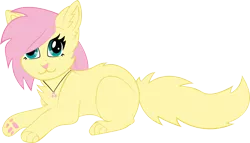 Size: 750x428 | Tagged: safe, artist:raffa2300, derpibooru import, fluttershy, cat, :3, catified, fluffy, paws, simple background, solo, species swap, transparent background, underpaw, wingding eyes