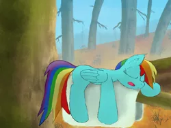 Size: 1032x774 | Tagged: artist:fuzzyfox11, derpibooru import, rainbow dash, safe, sleeping, solo