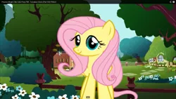 Size: 1366x768 | Tagged: safe, derpibooru import, fluttershy, double rainboom puppet, looking at you, solo, turnabout storm