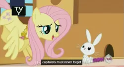 Size: 573x309 | Tagged: angel bunny, capitalist, derpibooru import, element of kindness, elements of harmony, fluttershy, hub logo, keep calm and flutter on, meme, necklace, safe, screencap, tv rating, youtube caption