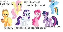 Size: 1862x952 | Tagged: applejack, derpibooru, derpibooru import, fluttershy, mane six, meta, pinkie pie, poland, polish, rainbow dash, rarity, safe, twilight sparkle