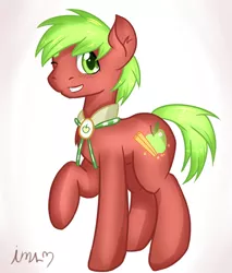 Size: 920x1080 | Tagged: safe, artist:imspainter, derpibooru import, apple cinnamon, earth pony, pony, apple, apple family member, bolo tie, collar, male, solo, stallion