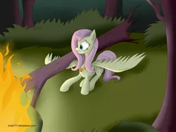 Size: 2560x1920 | Tagged: artist:brab777, breaking twilight, derpibooru import, element of harmony, element of kindness, elements of harmony, everfree, everfree forest, fanfic, fluttershy, safe, solo