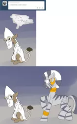 Size: 1151x1829 | Tagged: safe, artist:an everfree rat, derpibooru import, zecora, oc, oc:marble patches, ghost, pegasus, pony, rat, zebra, 2 panel comic, bald, bedsheet ghost, clothes, comic, costume, halloween, ku klux klan, robes, shocked, tumblr, unintentional racism