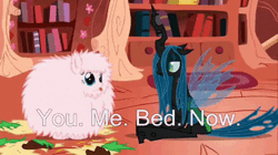 Size: 692x388 | Tagged: safe, artist:mixermike622, derpibooru import, queen chrysalis, oc, oc:fluffle puff, animated, canon x oc, chrysipuff, female, implied sex, lesbian, meme, shipping, you. me. x. now.