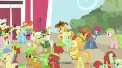 Size: 640x355 | Tagged: apple brown betty, apple cinnamon, apple family, apple family reunion, apple honey, apple mint, apple split, apple strudel, apple tarty, background pony, blewgrass, braeburn, candy apples, caption, dancing, derpibooru import, fiddlesticks, florina tart, granny smith, half baked apple, jonagold, marmalade jalapeno popette, minty apple, pitch perfect, red delicious, red gala, red june, safe, screencap, subtitles, sweet tooth, youtube caption
