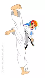 Size: 700x1217 | Tagged: artist:pia-sama, barefoot, black belt, clothes, feet, gi, human, humanized, karate, kicking, martial arts, rainbow dash, robe, safe, solo, trousers