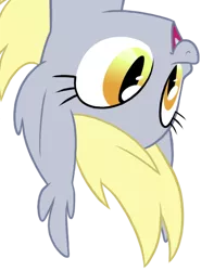 Size: 494x627 | Tagged: safe, artist:equestria-prevails, derpibooru import, derpy hooves, bat pony, pony, bat ponified, gray coat, race swap, simple background, solo, transparent background, upside down, yellow hair, yellow mane