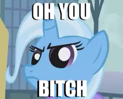 Size: 299x241 | Tagged: safe, derpibooru import, trixie, pony, unicorn, angry, displeased, female, image macro, mare, meme, solo, trixie yells at everything, vulgar