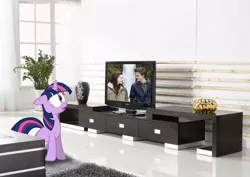 Size: 1129x800 | Tagged: artist:tokkazutara1164, cross-eyed, derpibooru import, floppy ears, frown, irl, movie, o.o, photo, ponies in real life, rug, safe, television, twilight (series), twilight sparkle, vector