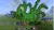 Size: 860x480 | Tagged: safe, artist:raven-kipper, derpibooru import, ponified, antagonist, cthulhu, deity lord, game screencap, image, lovecraftian deity, minecraft, minecraft pixel art, png, wings