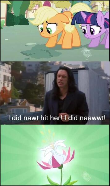 Size: 608x1024 | Tagged: applejack, derpibooru import, exploitable meme, hub logo, meme, safe, seeds of truth, the room, tommy wiseau, truth meme, twilight sparkle