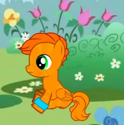 Size: 359x362 | Tagged: derpibooru import, firestar, ponified, pony creator, ponymaker, safe, solo, warrior cats