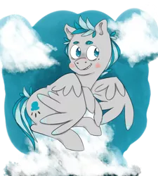Size: 848x942 | Tagged: safe, artist:clouddropz, derpibooru import, oc, unofficial characters only, pegasus, pony, solo