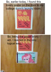 Size: 745x1053 | Tagged: anti-brony, anti brony brotherhood, caption, derpibooru import, hate, haters, meta, photo, pinkie pie, safe, text