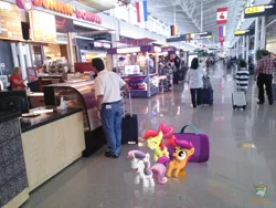 Size: 3264x2448 | Tagged: airport, apple bloom, artist:ojhat, cutie mark crusaders, derpibooru import, derpy hooves, dinky hooves, dunkin donuts, flag, human, irl, photo, ponies in real life, reflection, safe, scootaloo, stores, suitcase, sweetie belle, vector