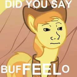 Size: 475x475 | Tagged: artist:acstlu, braeburn, buffalo, clothes, cropped, edit, edited screencap, feels, hat, image macro, over a barrel, pun, safe, screencap, solo, tfw, that feel, vest, wojak