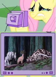 Size: 566x770 | Tagged: derpibooru import, exploitable meme, fluttercry, fluttershy, meme, moro, obligatory pony, okkotonushi, princess mononoke, sad, safe, shishigami, tearjerker, tv meme